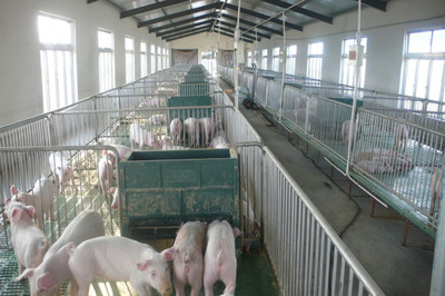 在希望的田野唱響“新農歌” 揚州張家村畜牧設備技術開發的振興之路